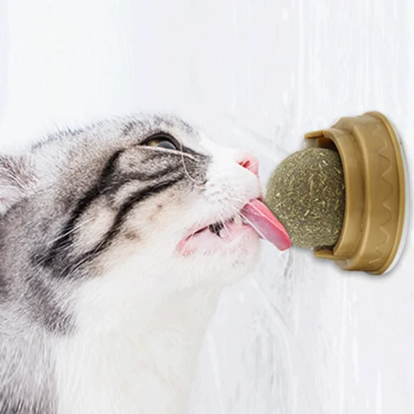 Bola Catnip
