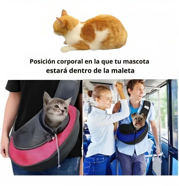 Bolsos para cargar gatos online
