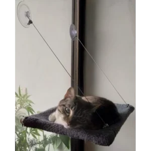 Hamaca Cama Colgante de Ventana para Gatos