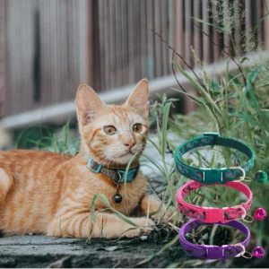 Collar de campana para gatos y perros