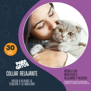 Collar con feromonas para gatos | Collar calmante para gatos