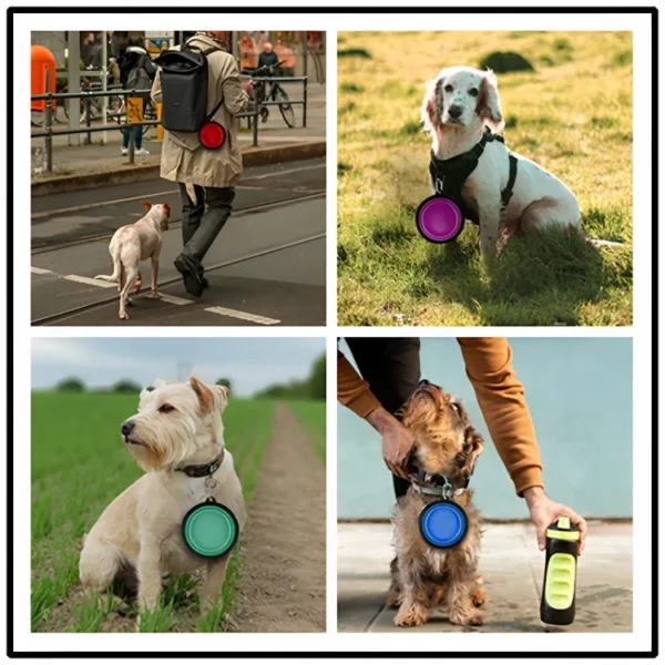 Comedero portatil para perros