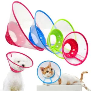 Cono isabelino para perros y gatos operados