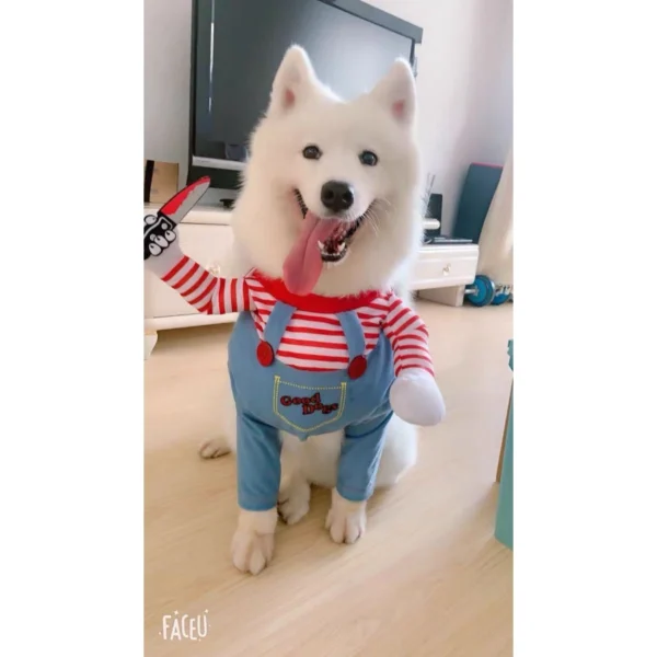 Disfraz de chucky para perros grandes-husky