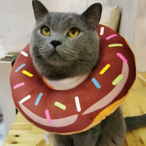 ▷Dona Post Quirúrgica para Perros y Gatos
