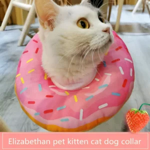Donas isabelinas para perros y gatos operados