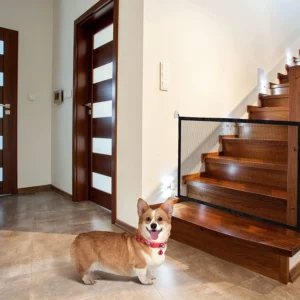 Malla de seguridad para perros | Malla de seguridad para mascotas