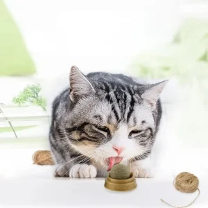 Juguete Catnip Ball | Pelota De Hierba Gatera