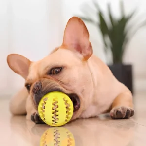 Pelota limpia dientes para perros pug