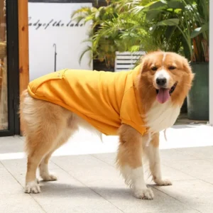 Sudadera para perros y gatos con capucha amarilla