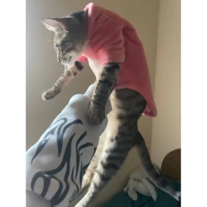 Suéter elegante para gatos y mascotas pequeñas