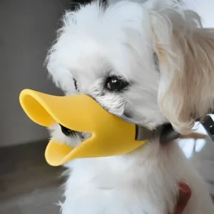 bozal boca de pato