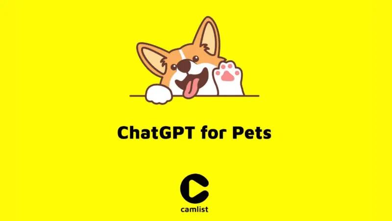camlist mascotas con inteligencia artificial