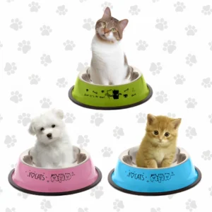 Bebedero y comedero en acero inoxidable para perros y gatos