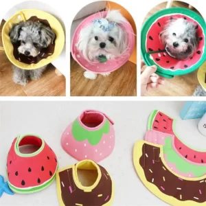 Cuello isabelino para perros y gatos operados