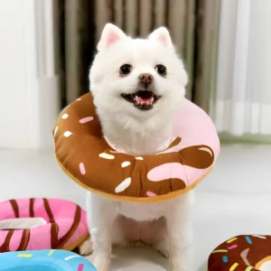 Donas isabelinas para mascotas