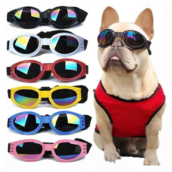 gafas de moto para perros