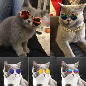 Gafas de Sol para Perros y Gatos | Marco: 11 cm