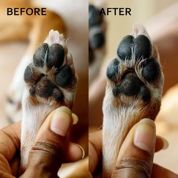 hidratacion de pulpejos perros y gatos