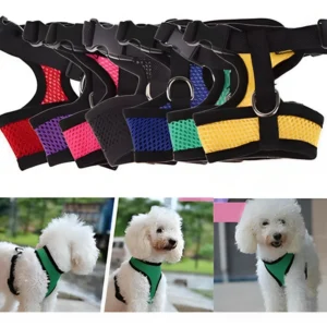 pechera sencilla tipo arnes para perros pequenos y gatos