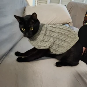 Suéteres para perritos y para gatos
