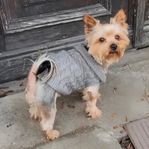 Suéteres para perritos y para gatos