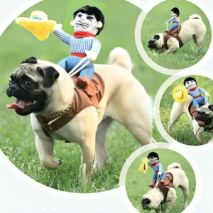 disfraz de vaquero para perro