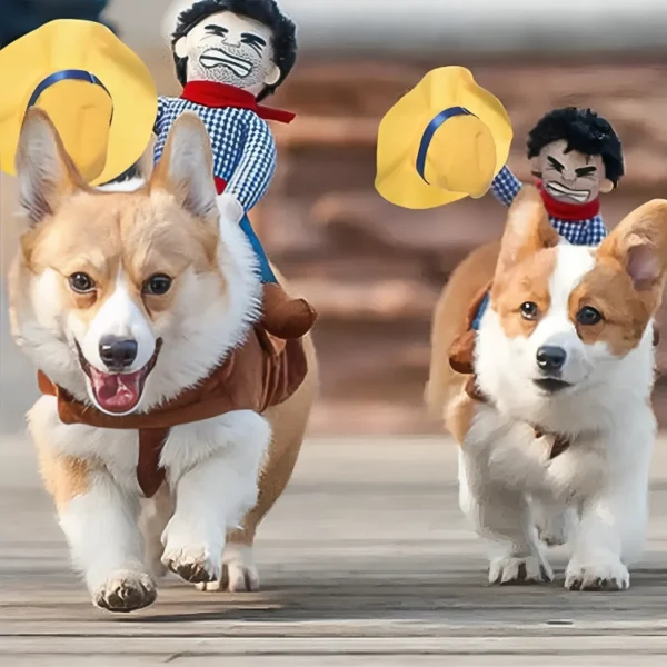 Disfraz de Vaquero para perros y gatos - Image 6