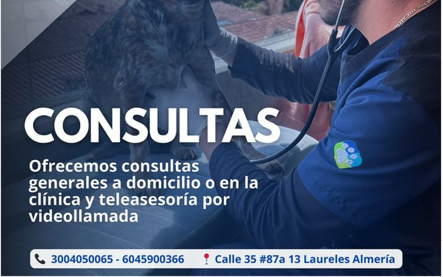 Veterinario a Domicilio-PremiumVet medellin