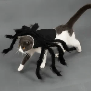 Disfraces de araña para perros y gatos