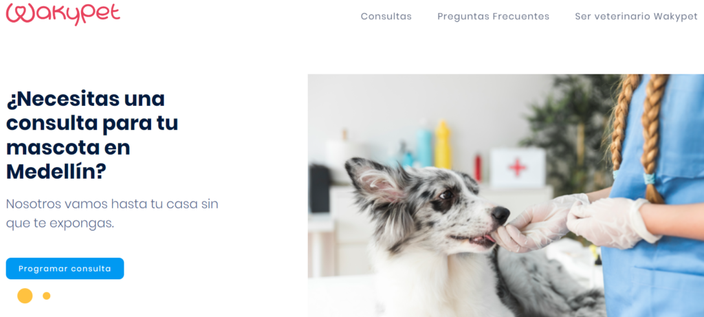 waky pet servicio de veterinaria a domicilio en medellin