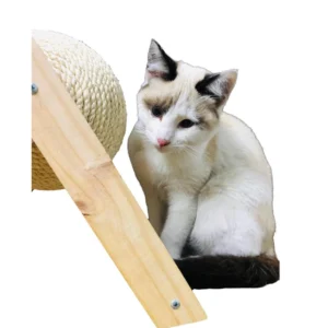 Bola Rascador para Gatos Exclusiva