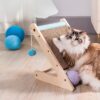 gimnasio pequeño para gatos