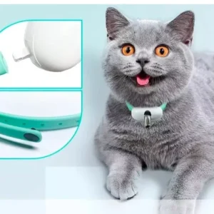 Collar Laser para Gatos