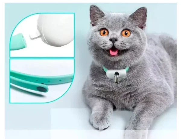 Collar Laser para Gatos - Image 2