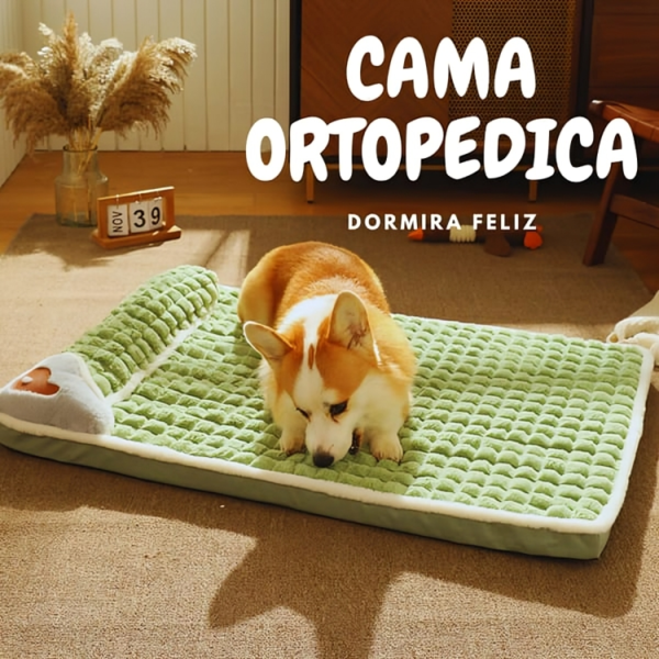 camas ortopedicas para perros con artrosis o displacia