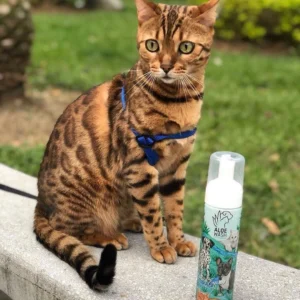 Shampoo Baño en Seco para Perros y Gatos