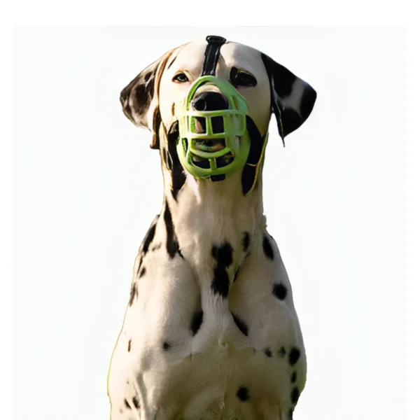 Bozal de Goma para Perros | Luminoso(Fluorescente - Verde) - Image 2