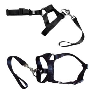 Collar Bozal Halti Adiestramiento para Perros