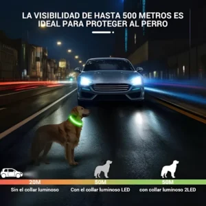 Collar Luz LED para Perro o Gato – Luminoso y recargable USB