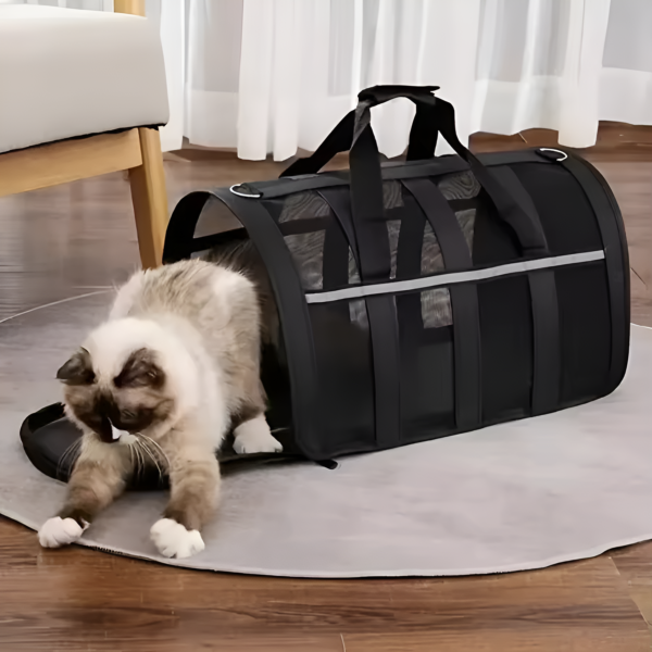 guacales para gatos en tela