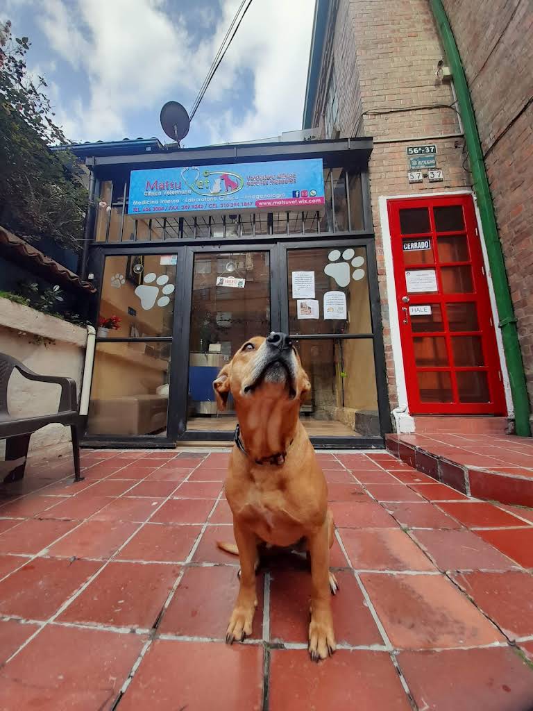 MatsuVet Clínica Veterinaria