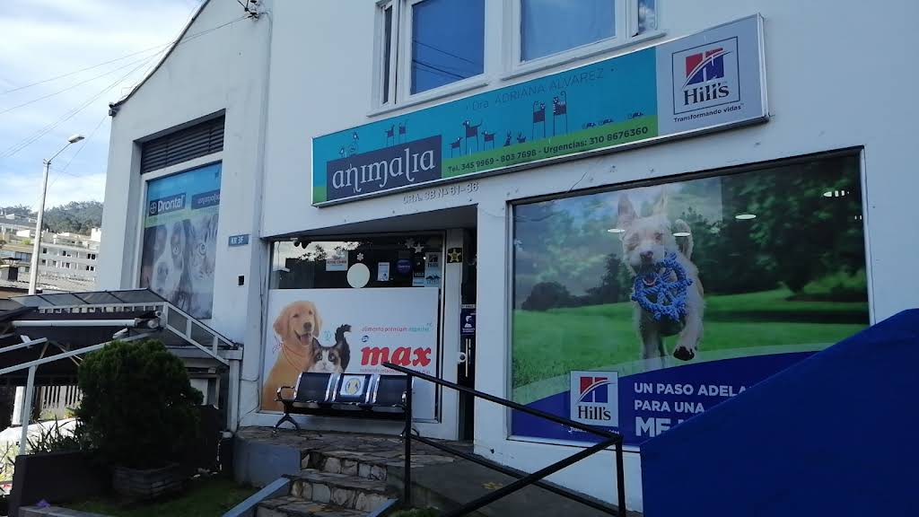 Veterinaria ANIMALIA PET STORE-Doc Adriana Alvarez