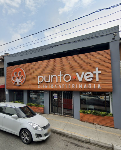 Punto Vet Clínica veterinaria