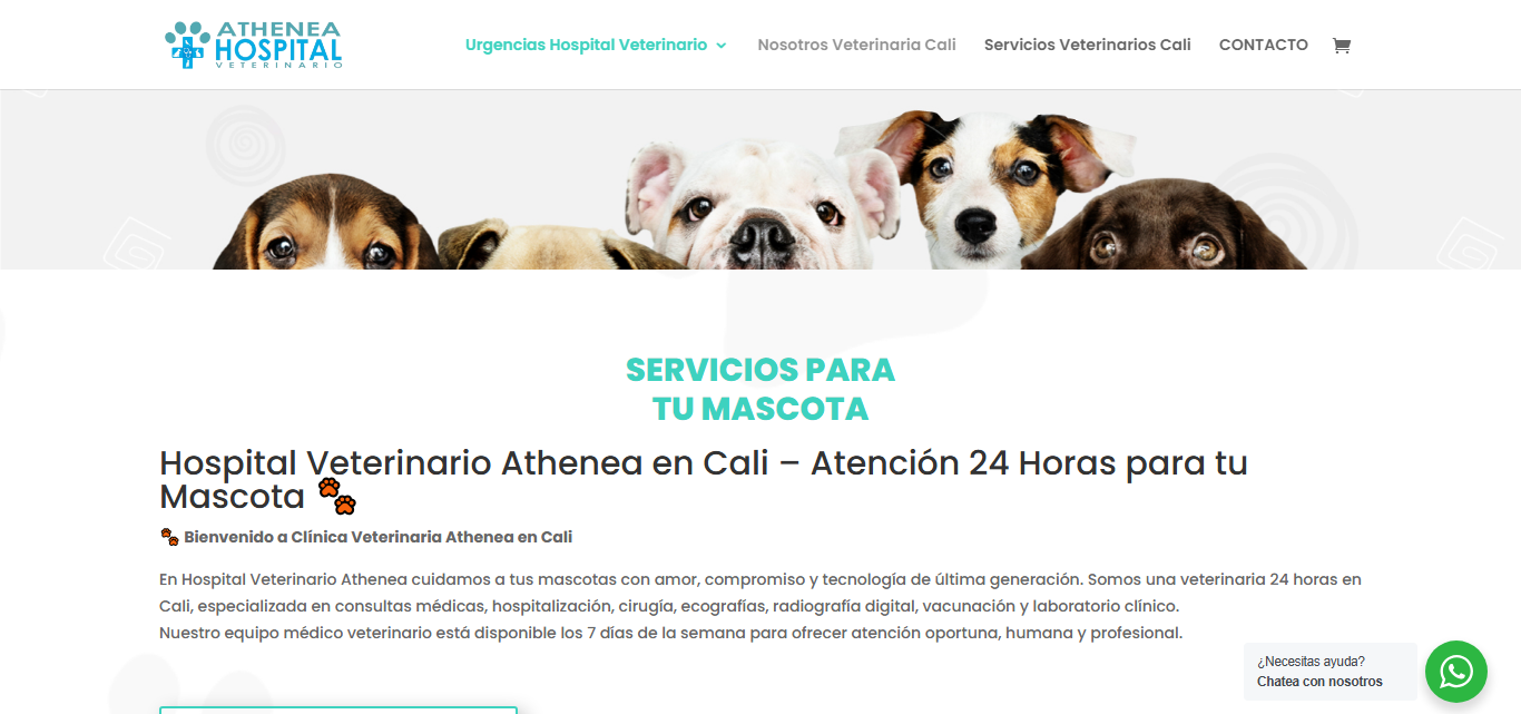 Athenea Hospital Veterinario Cali